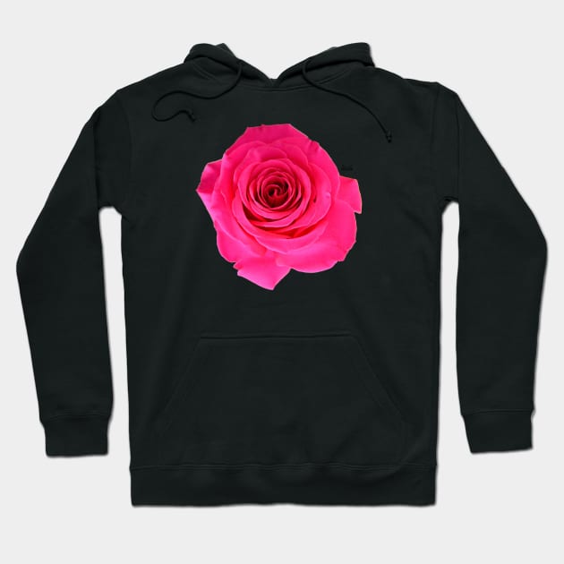 Rose red on black / Swiss Artwork Photography Hoodie by RaphaelWolf